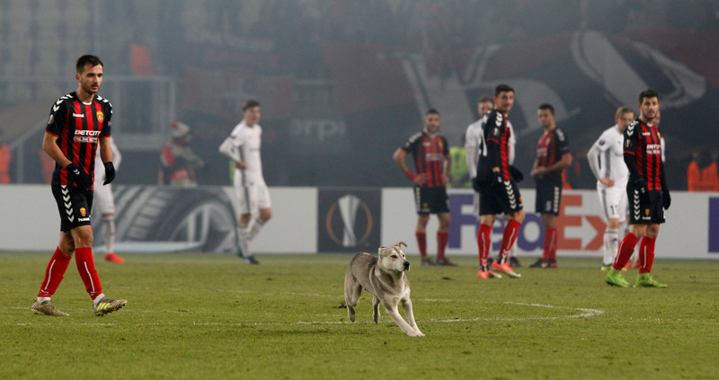 Photo credit: Boris Grdanoski/AP
